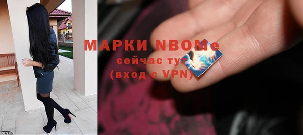 хмурый Арсеньев