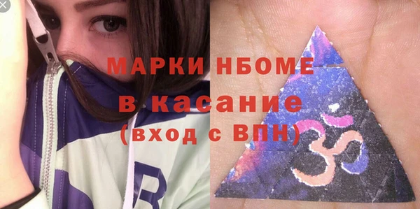 хмурый Арсеньев