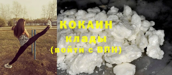 хмурый Арсеньев